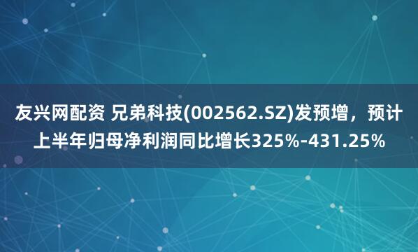 友兴网配资 兄弟科技(002562.SZ)发预增，预计上半年归母净利润同比增长325%-431.25%